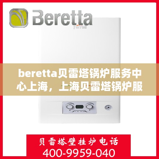 beretta贝雷塔锅炉服务中心上海，上海贝雷塔锅炉服务中心，专业维修与保养贝雷塔锅炉