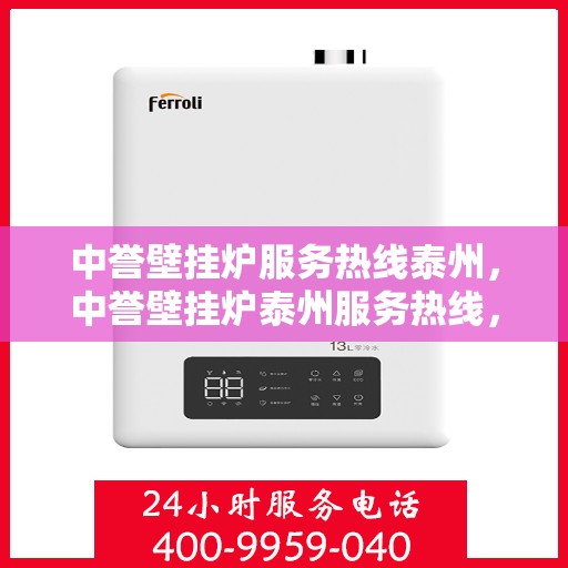 中誉壁挂炉服务热线泰州，中誉壁挂炉泰州服务热线，专业维修与暖心关怀一站式解决