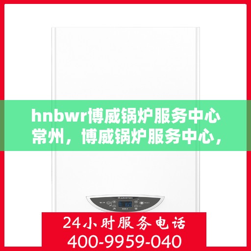 hnbwr博威锅炉服务中心常州，博威锅炉服务中心，常州的专业锅炉服务与保障