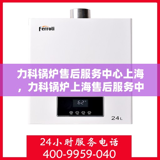 力科锅炉售后服务中心上海，力科锅炉上海售后服务中心，专业维修与优质服务同步进行