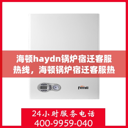 海顿haydn锅炉宿迁客服热线，海顿锅炉宿迁客服热线，专业支持与解决方案一站式服务